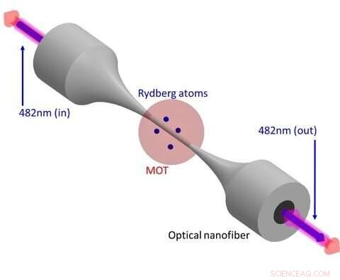 Scientists Deploy Magneto-Optical Trap to Let Rubidium Atoms See Light