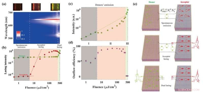 Precision Optical Steering of Exciton Transport in Colloidal Quantum Well Assemblies
