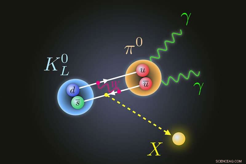 FSU Physicists Unveil New Theory to Explain Rare Kaon Decay