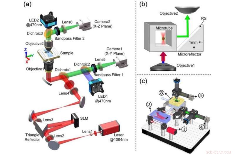 Advanced Axial Plane Optical Trapping and Imaging for Enhanced Light-Matter Interaction