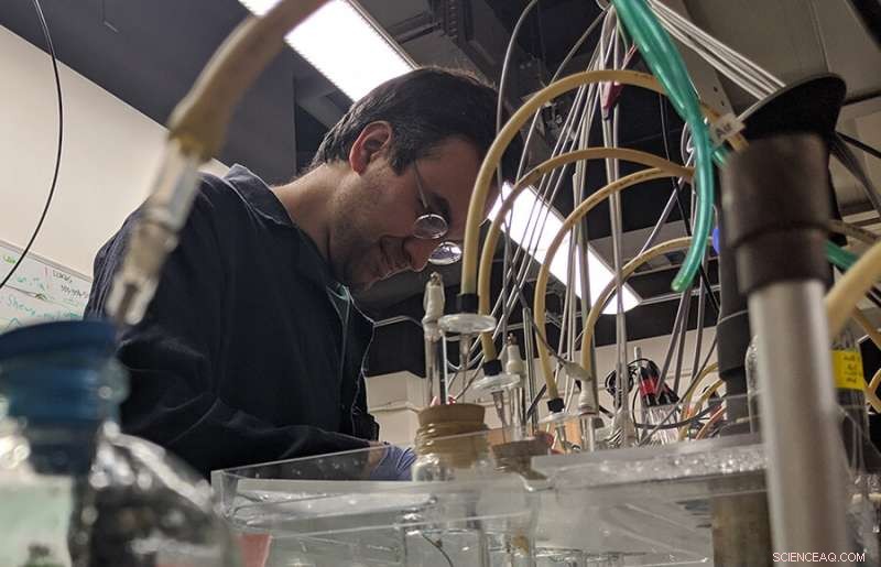 Rock-Breathing Bacteria Decipher Electron Spin: New Study Uncovers Quantum Mechanisms