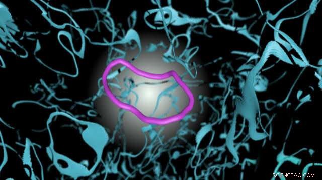 New Study Uncovers Collective Dynamics of Active Matter Systems