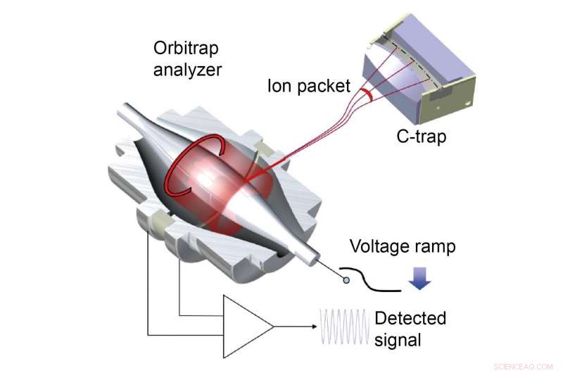 Measuring the Mass of a Single Molecule: A Breakthrough by Utrecht Scientists