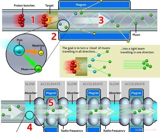 UNIST Team Demonstrates Milestone Muon Cooling, Advancing Powerful Particle Accelerators