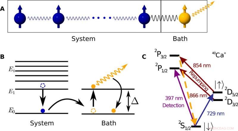 Efficient Initialization of Quantum Simulators Using Sympathetic Cooling