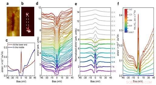 Unveiling Zero‑Energy Bound States at Both Ends of a One‑Dimensional Atomic Line Defect