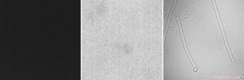 Revolutionizing Cryo-EM: Scientists Make Electron Microscopy Affordable and Accessible