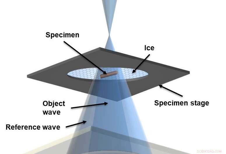 Revolutionizing Cryo-EM: Scientists Make Electron Microscopy Affordable and Accessible