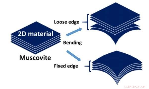 Mechanically Controlled Nonlinear Dielectrics: Advancing Heteroepitaxial Performance