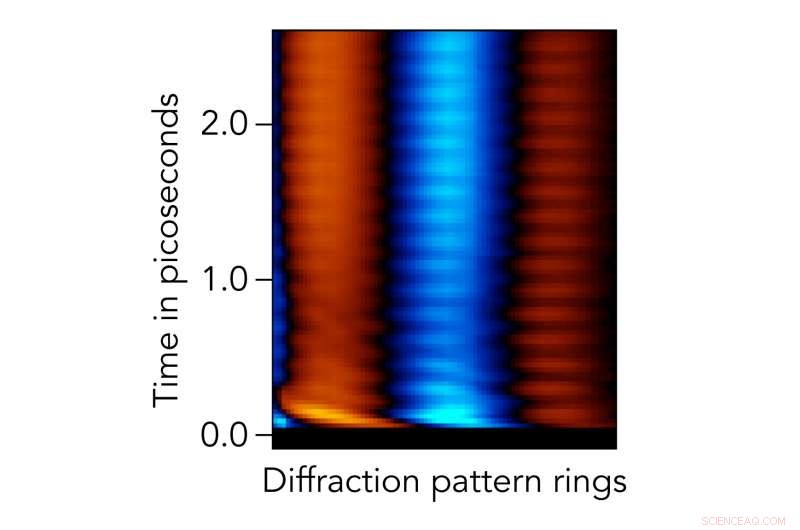 New Molecular Movie Reveals Two-Photon Light Response