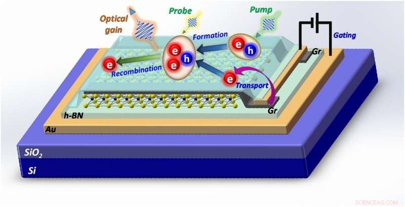Ultra‑Low‑Power Optical Gain Achieved in 2D Materials via a Novel Trion Mechanism