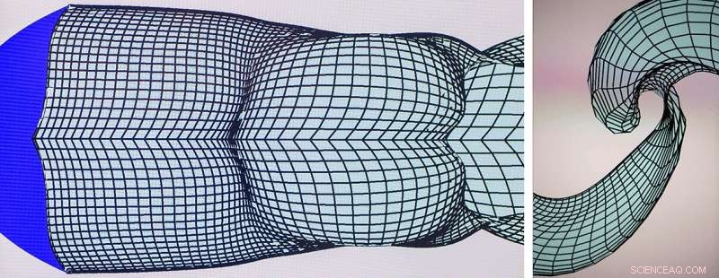 Scientists Reveal How Whale and Dolphin Hydrodynamics Can Revolutionize Next‑Gen Underwater Robots