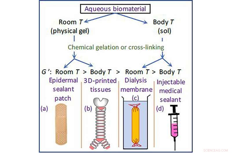 Optimizing Temperature Processing Enhances Hydrogel Quality for Biomedical Applications
