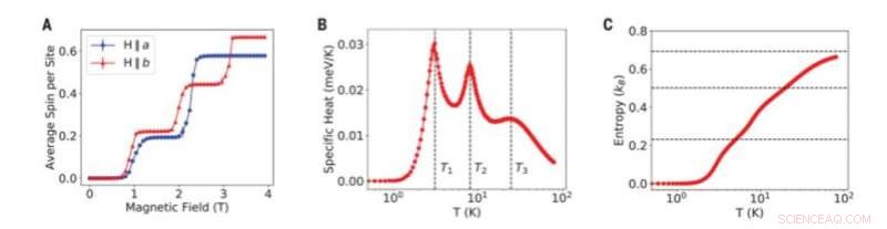 Unveiling Kagome Spin Ice in HoAgGe: A Frustrated Intermetallic Breakthrough