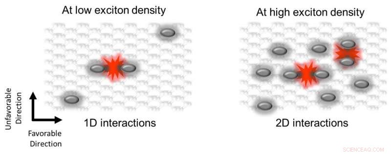 Phosphorene Excitons: Unveiling Dimensionality-Driven Dynamics