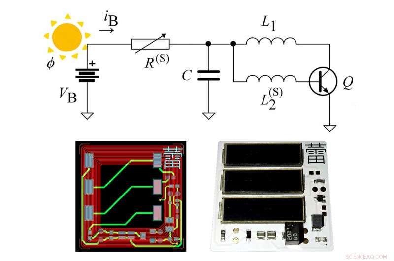 From Buds to Blossom: Synchronizing Multiple Oscillators for Advanced Sensor Networks