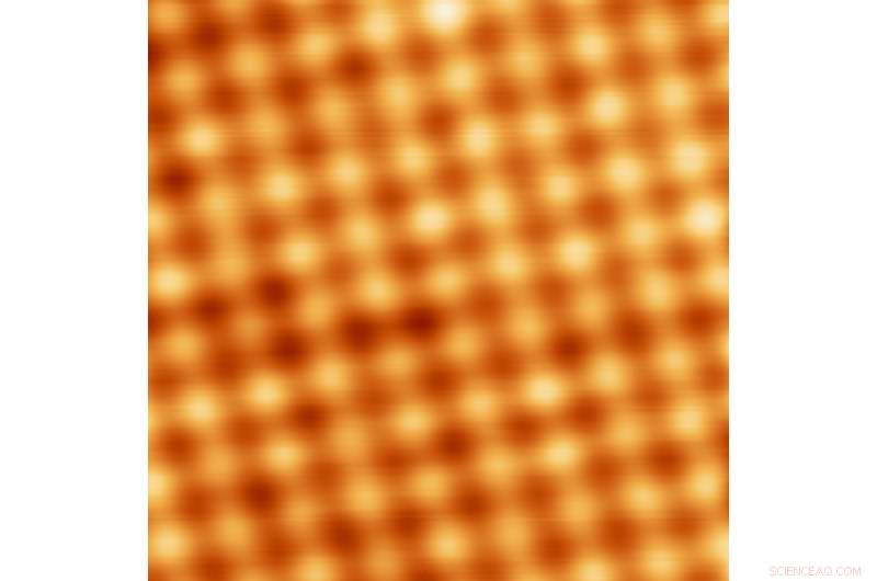 Harnessing AI for Autonomous Scanning Probe Microscopy in the Lab