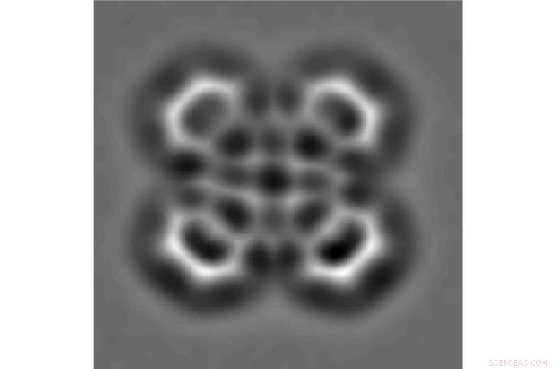 Harnessing AI for Autonomous Scanning Probe Microscopy in the Lab