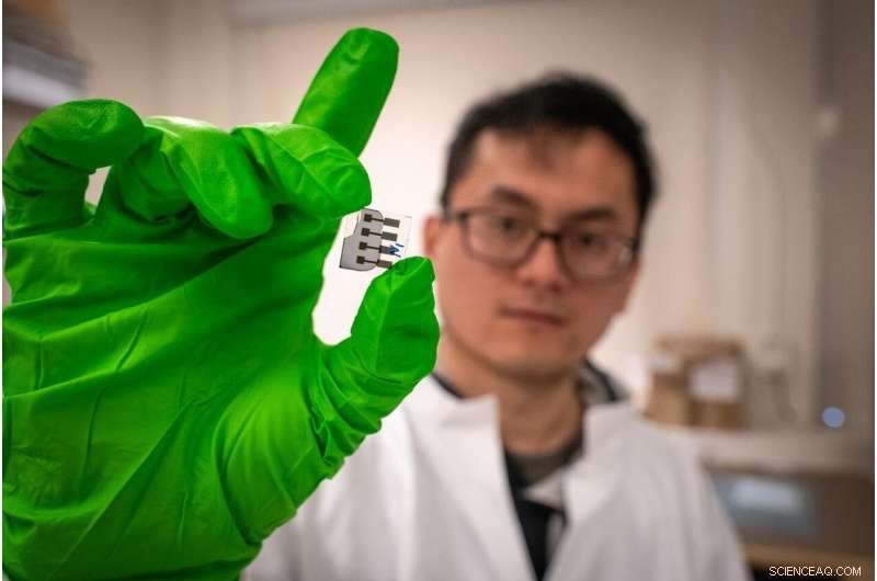 Quantum Effect Revealed: Enhancing Charge Generation in Organic Solar Cells