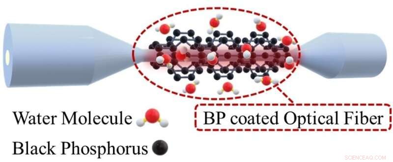 Advanced Black Phosphorus All‑Fiber Humidity Sensor Developed