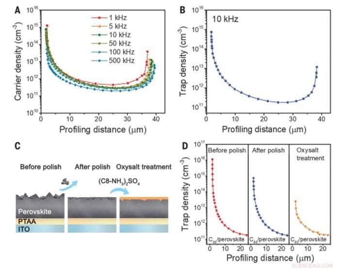 Mapping Trap State Distributions in Metal Halide Perovskite Solar Cells for Enhanced Performance