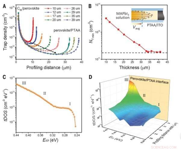 Mapping Trap State Distributions in Metal Halide Perovskite Solar Cells for Enhanced Performance