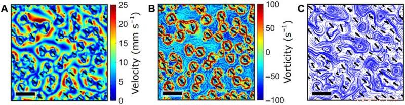 Dynamic Reconfigurable Structures and Tunable Transport in Synchronized Active Spinner Materials