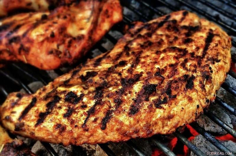 Scientific Models Unveil How Meat Changes During Cooking