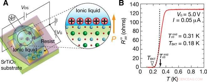Gate‑Induced Polar Superconductivity in SrTiO₃: Evidence for Nonreciprocal Transport