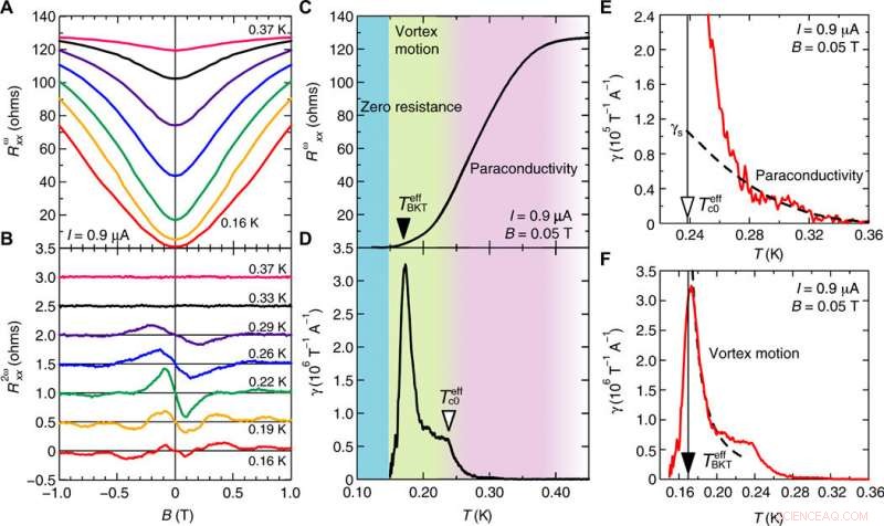 Gate‑Induced Polar Superconductivity in SrTiO₃: Evidence for Nonreciprocal Transport