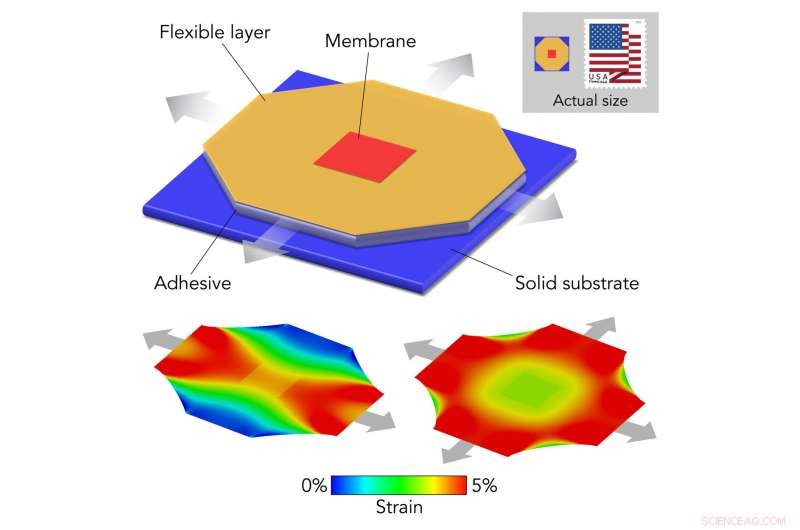 Revolutionary Technique Enables Fine‑Tuning of Exotic Materials Using Thin, Stretchable, and Clampable Membranes