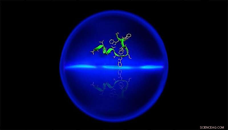 Unveiling Antibiotic Matter Waves: Quantum Behavior of Complex Polypeptides