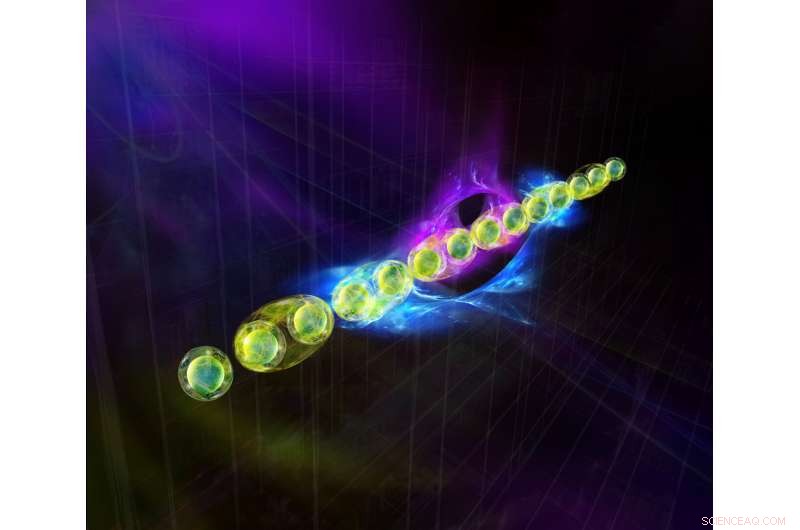 Groundbreaking Protocol Uncovers New Quantum States