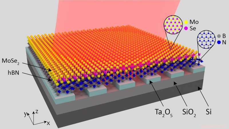 Scientists Showcase Groundbreaking Platform for Next-Gen Optical Transistors