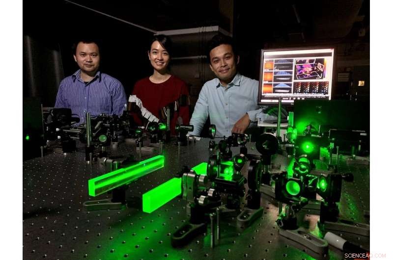 Revolutionary 3D Imaging Technology Boosts Fluorescence Microscopy Efficiency