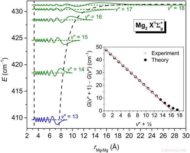 Quantum Computation Reveals Previously Unknown Vibrational States of Magnesium Dimer