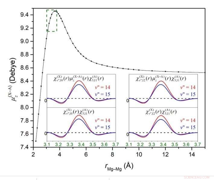 Quantum Computation Reveals Previously Unknown Vibrational States of Magnesium Dimer