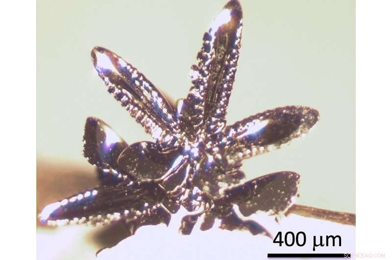 Novel Electromagnetic Control Method Promises Advances in Spintronic Computing