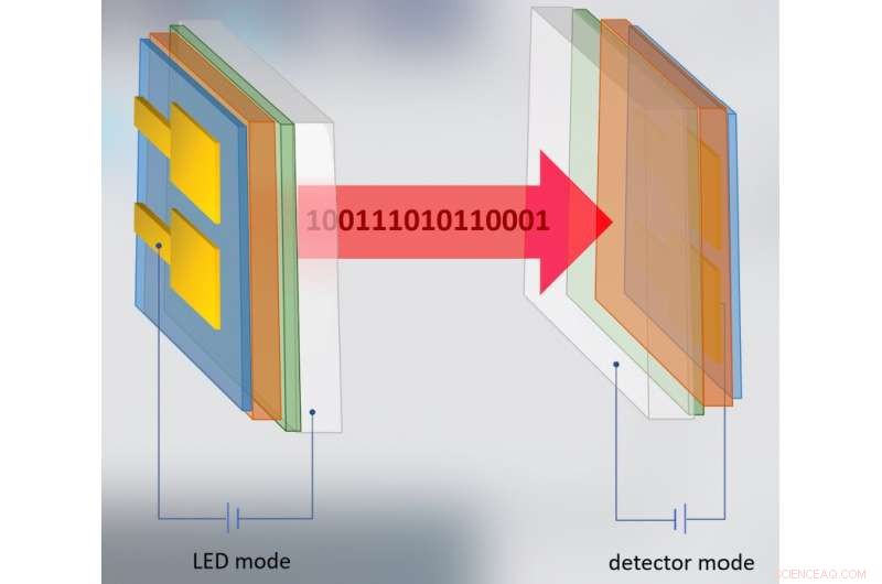Dual-Function Perovskite Diode Enables Light Emission and Detection