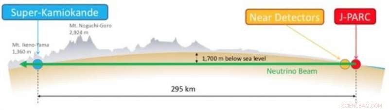 Neutrinos Explained: Why the Universe Avoided Annihilation