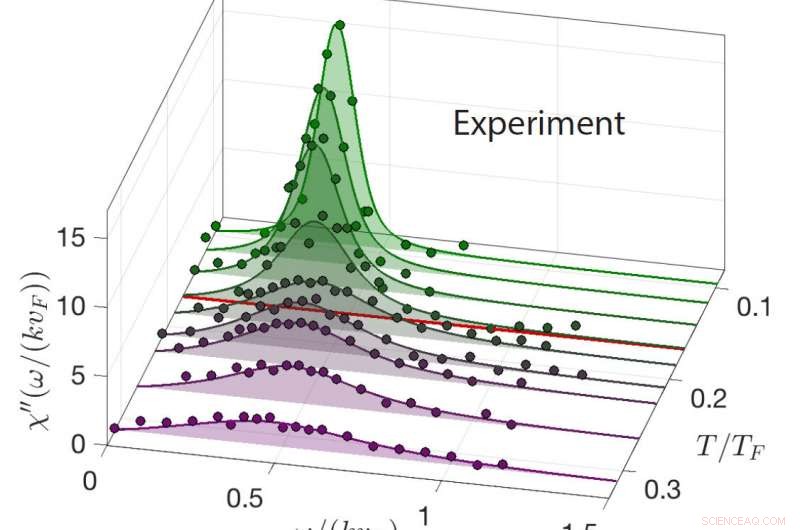 Exploring Sound Waves in Superfluid Quantum Gases