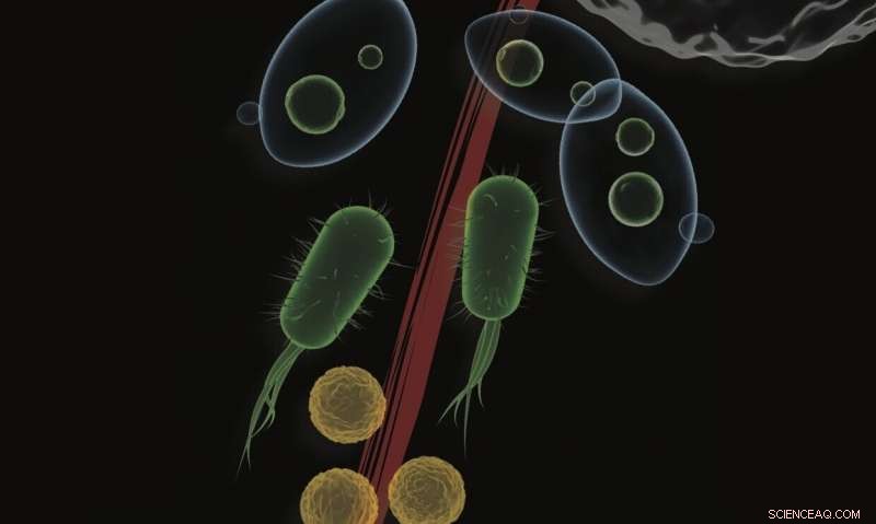 New Insights: Scientists Reveal Universal Self-Assembly Principles