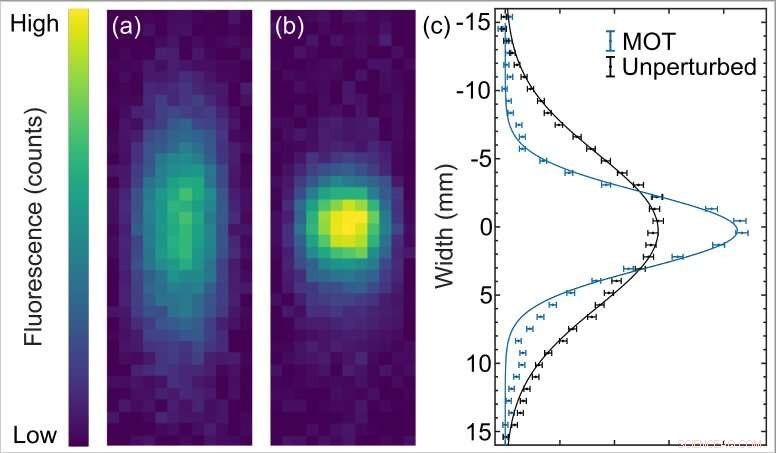 First 1‑D Magneto‑Optical Trap for Polyatomic Molecules Achieved