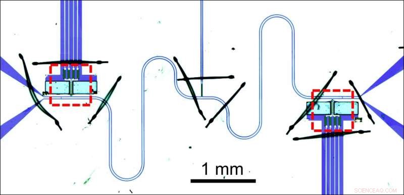 Developing a Nanomechanical Quantum Switchboard: Coupling Carbon Nanotube Vibrations to Microwave Cavities
