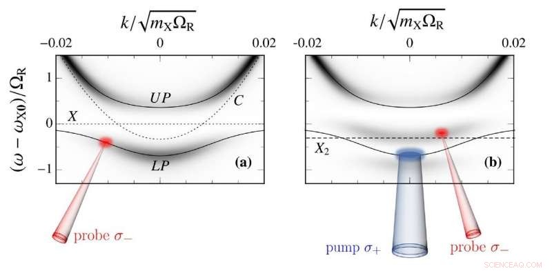 Using Quantum‑Impurity Theory to Probe Quantum Fluids of Light