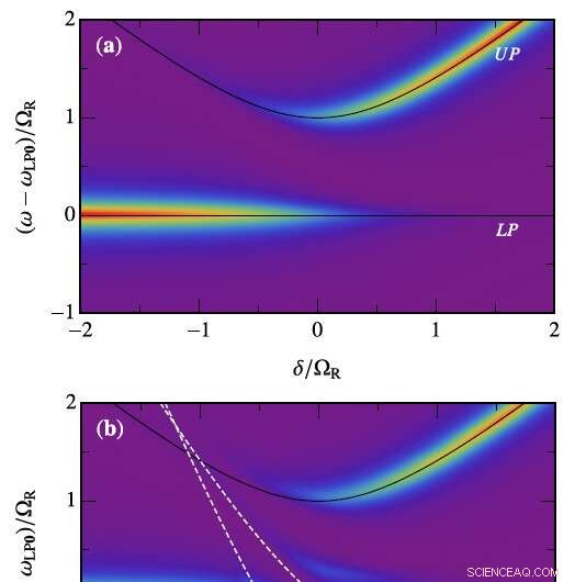 Using Quantum‑Impurity Theory to Probe Quantum Fluids of Light
