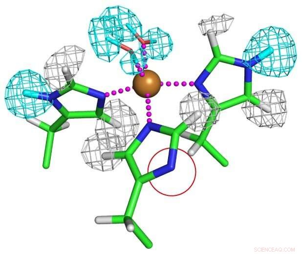 Discovering Levitated Protons: How Neutron Scattering Reveals Hidden Hydrogen