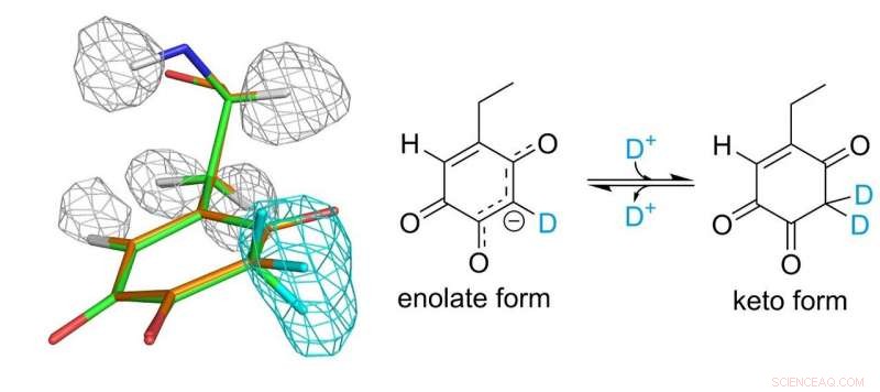 Discovering Levitated Protons: How Neutron Scattering Reveals Hidden Hydrogen