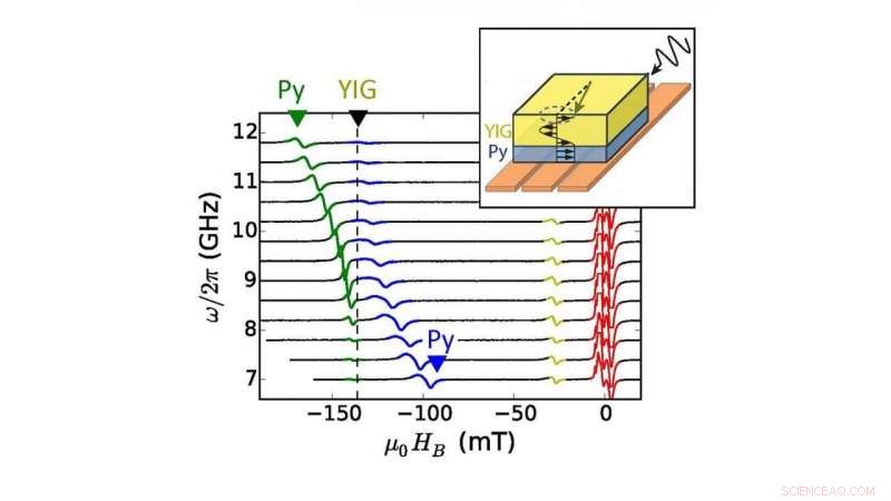Coupled Magnetic Materials Offer New Prospects for Quantum Information Technologies