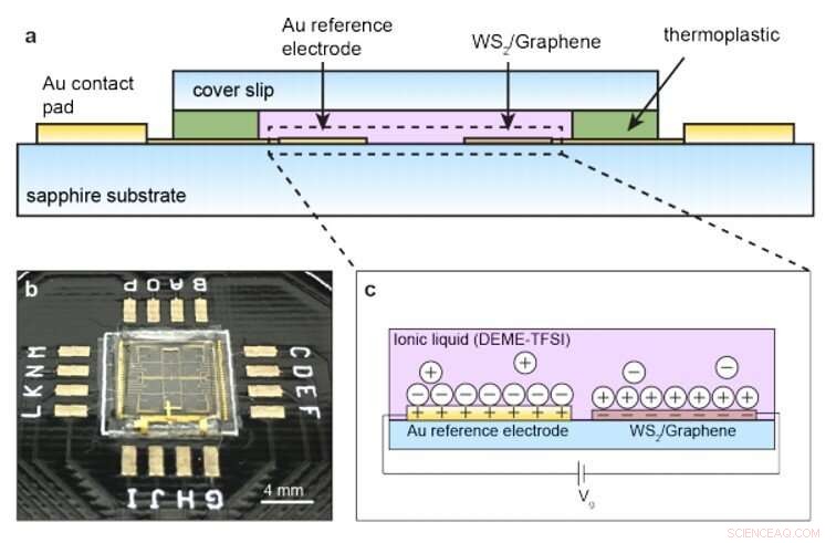 Tuning Exciton Resonances for Dynamic Focusing in an Atomically Thin WS₂ Lens